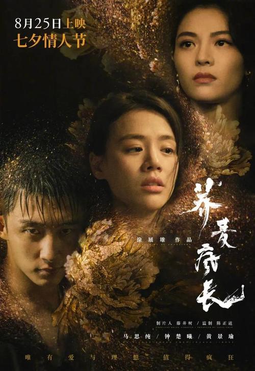 史迪尔门学院硕士证书
